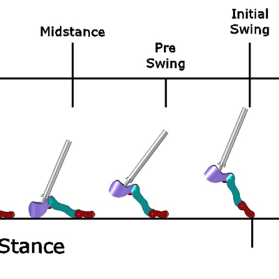 Gait Cycle - with labels.jpg