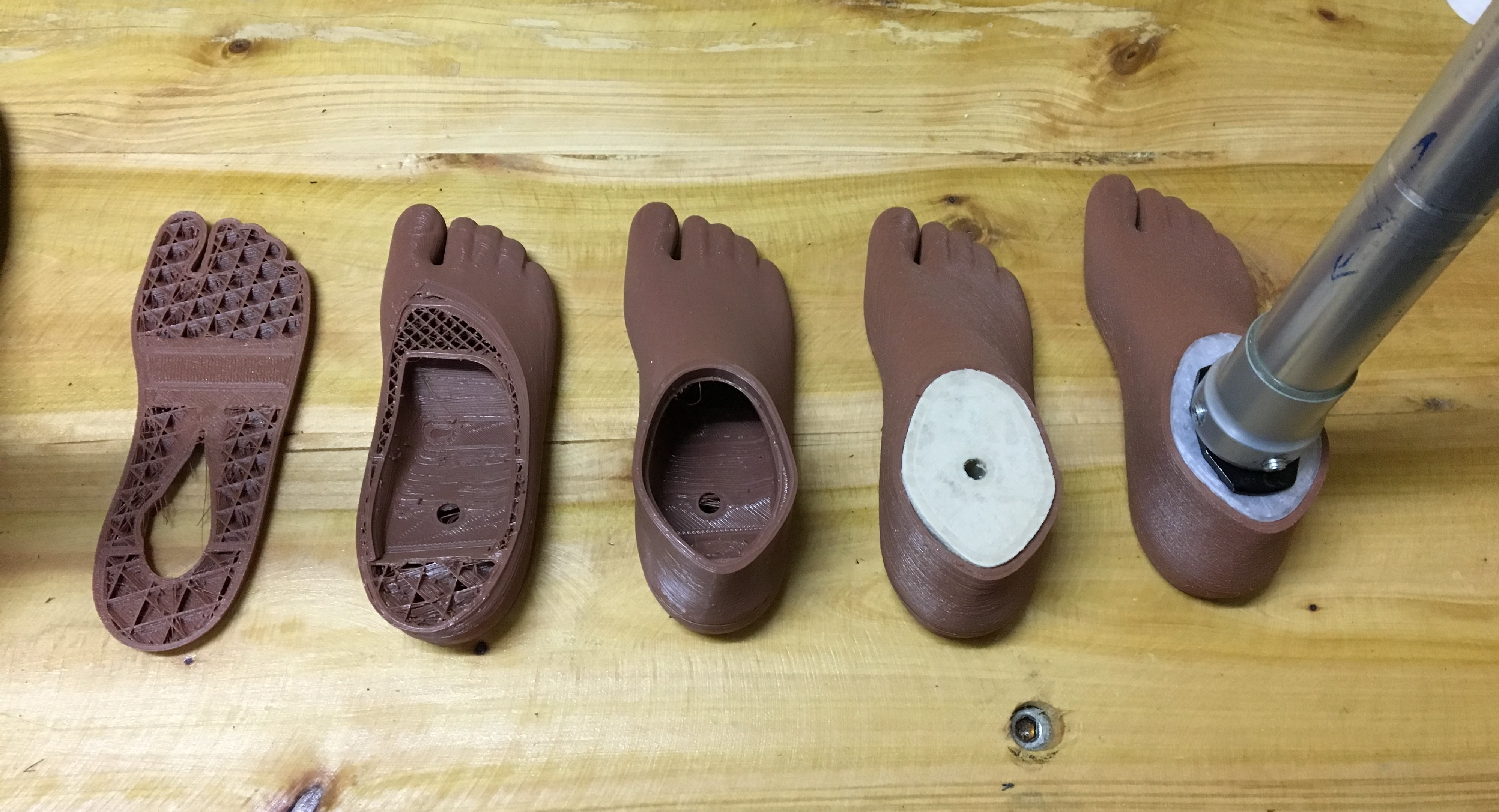 A step-by-step look at the prosthetic foot design.  5 stages of the 3D printed foot are lined next to each other.