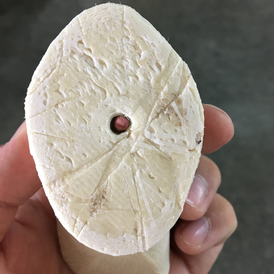 Insert for 3D printed prosthetic foot, made of glass fiber impregnated nylon.  HVP-Gatagara | Gatagara, Rwanda.  