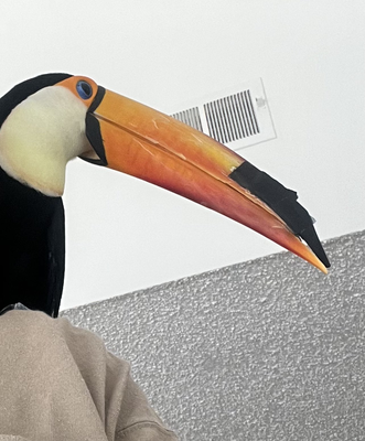 repair with polystyrene sheet and duct tape.jpg